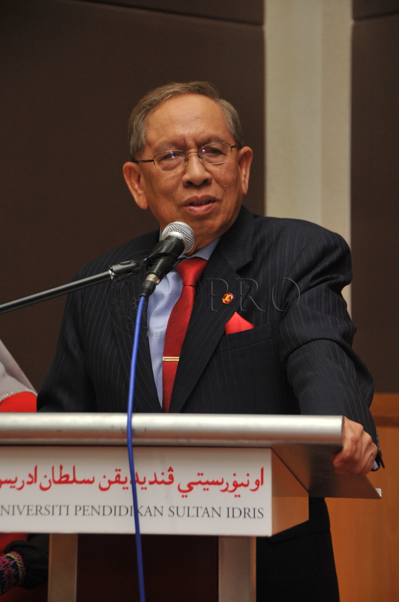 PRO 14 50 RECORD PRO 6877